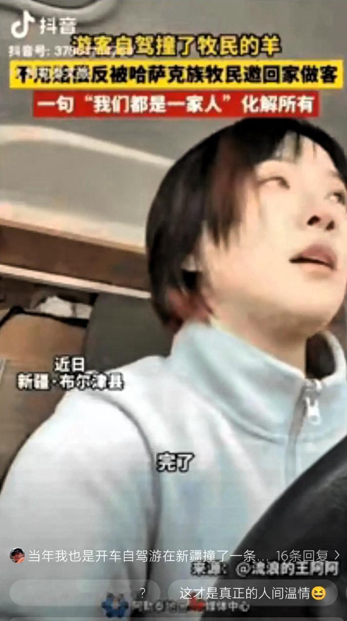 新疆牧民这波操作，
看完直接破防！
谁能不被暖到啊？

自驾游撞了牧民的羊，换谁