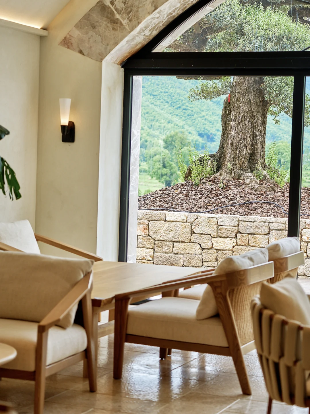 卢村惊现窑洞咖啡+法式庄园CP，出片率100%