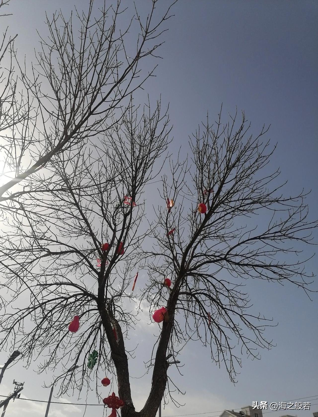 北京，今天白天多云转阴，有雨夹雪或雪，最高气温6℃。夜间阴有小雪（山区有中雪），