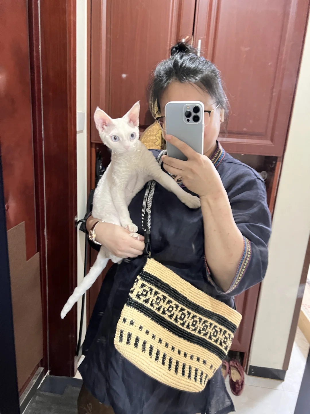 小猫咪都爱拉菲草包包