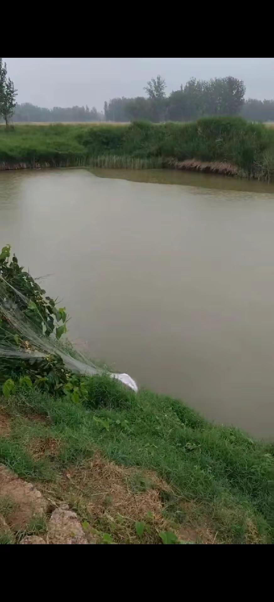春茶有清淡也会浓如酒，茶凉可再续人走却难留，人要不识愁管他喜与忧，平常心看待这世