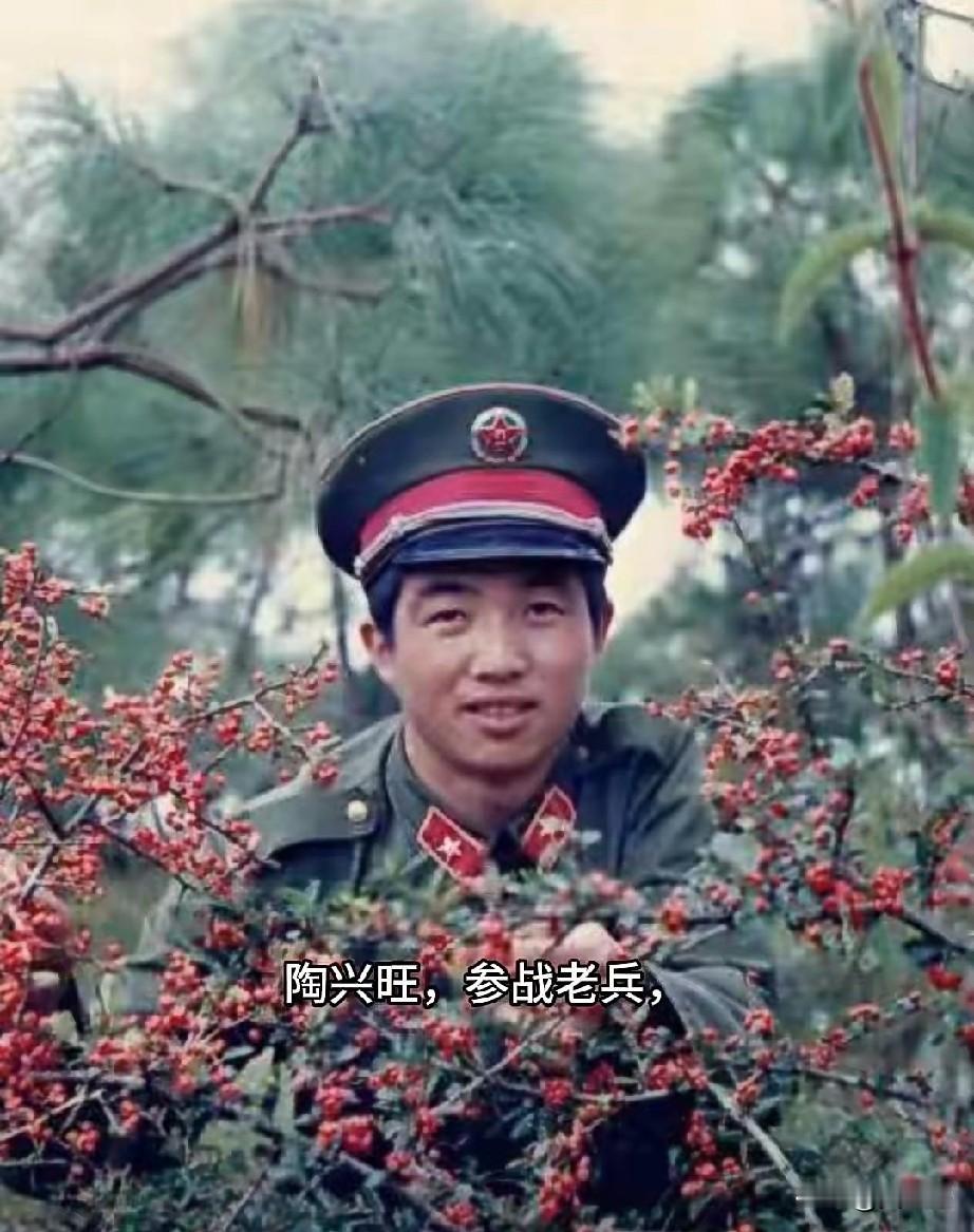 陶兴旺，参战老兵
1986年12月，陶兴旺随“钢八连”从河北邢台驻地出发，经4天