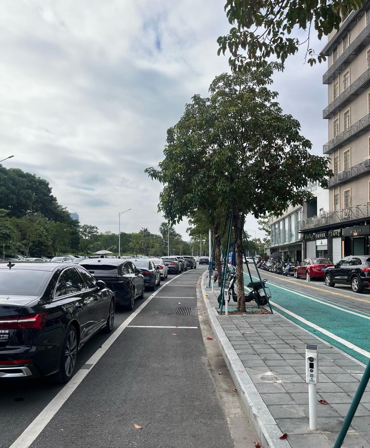 你收你的我停我的？

几年没来佛山，几乎所有的路边都成了收费车位。大家有意见是因