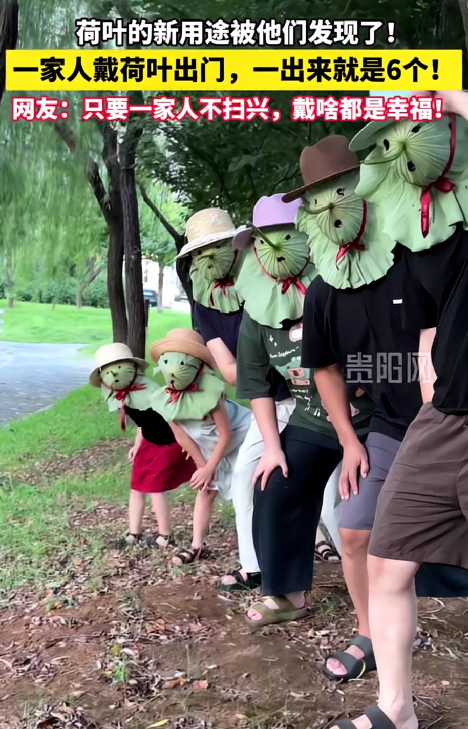 全网刷屏的治愈一幕！一家人头戴荷叶出门，这才是最简单的幸福。夏天的快乐，真的根本