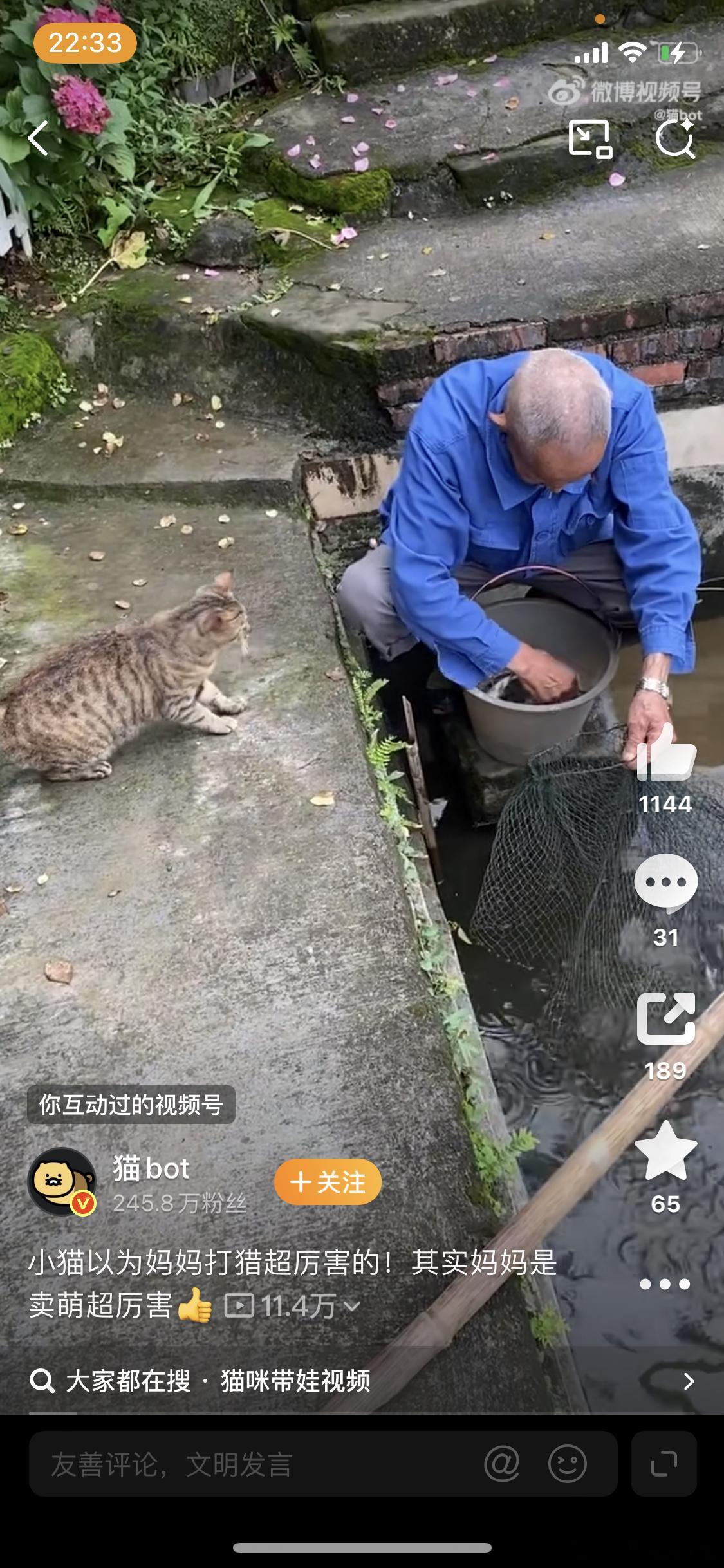 小猫以为妈妈打猎超厉害都是很有爱的，这爷爷也很有爱，会把自己的鱼给猫，猫会带回家