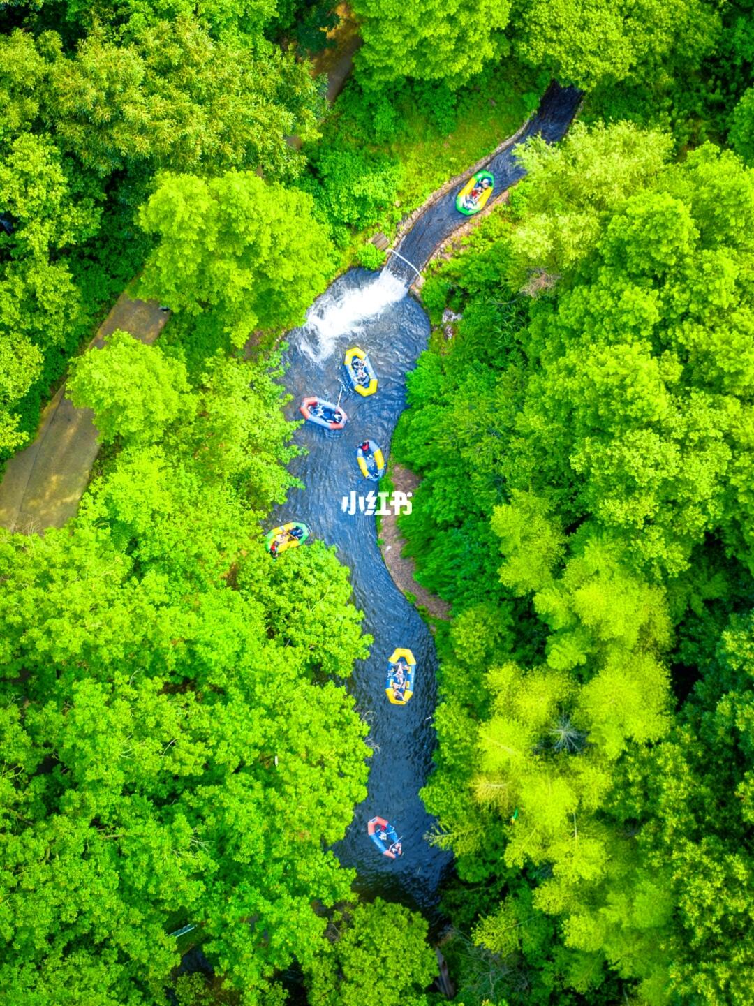 藏不住了❗南京1小时超绝森林漂流秘境😭