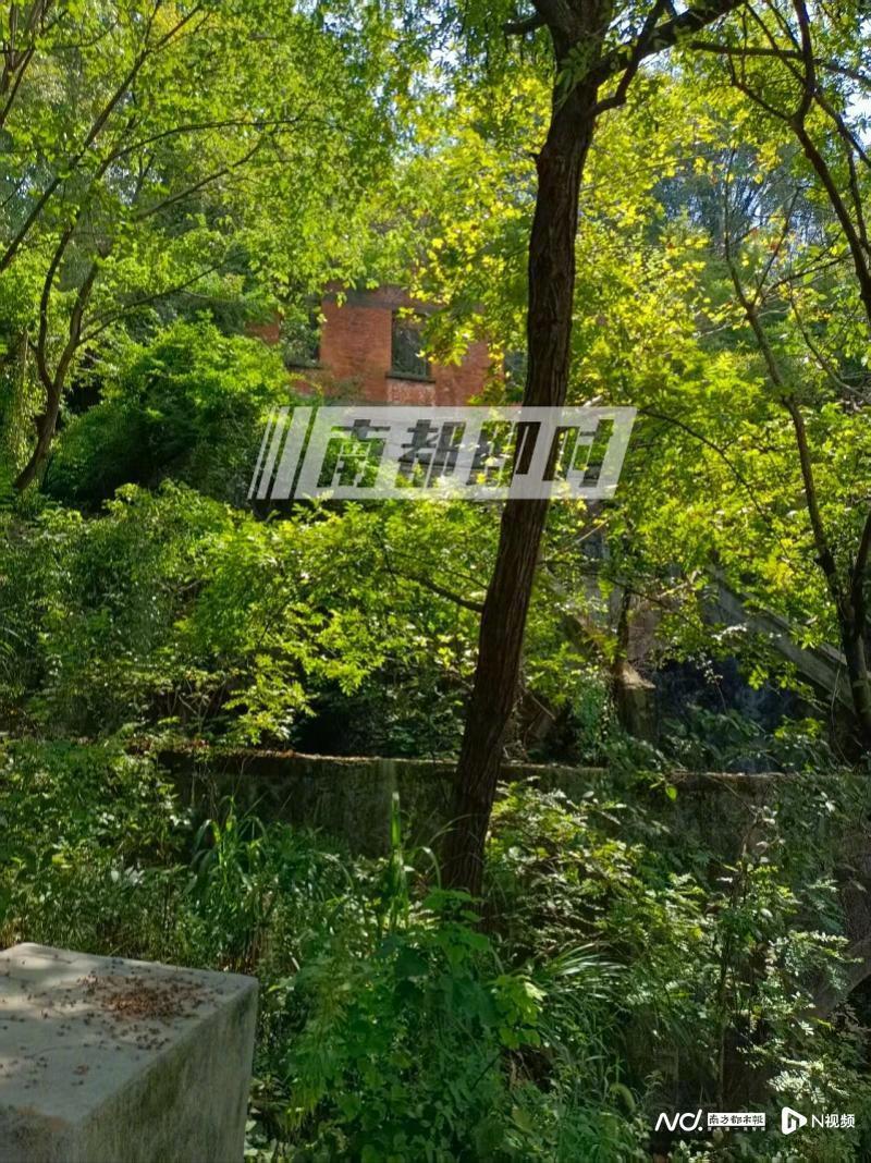 【杭州女子氢氟酸中毒身亡，#杭州锁定废弃氢氟酸所有者# 】近日，杭州女子接触氢氟