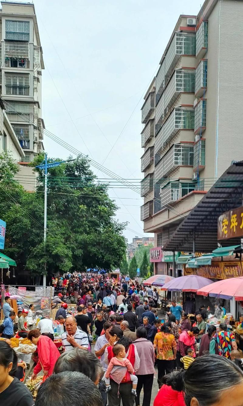 我认为不会
因为，首先我是农村人，现在人们的生活水平很高了，老龄人占比增大了。老