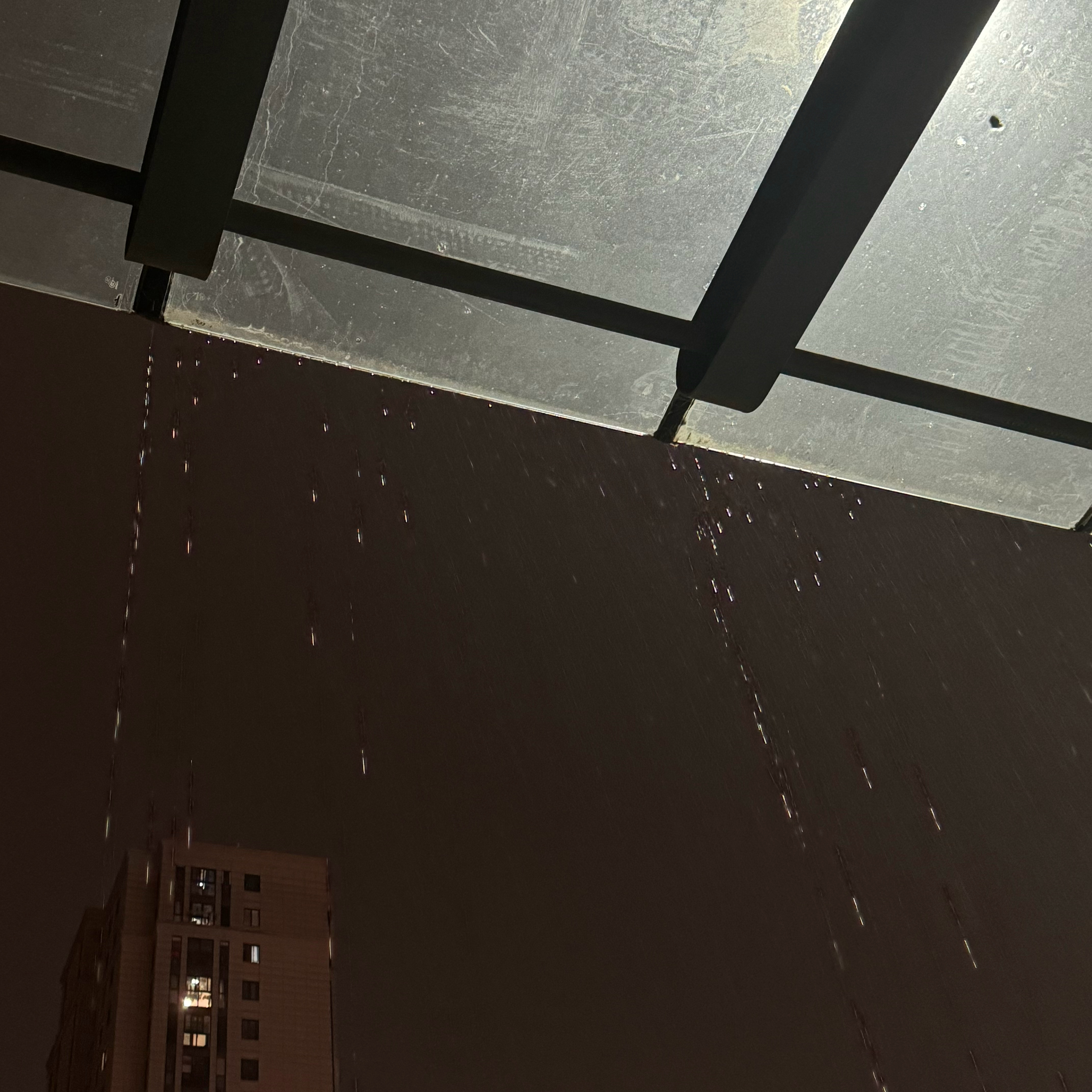 从不带伞下雨就赏雨天啊我真是风雅女子🌹 ​​​