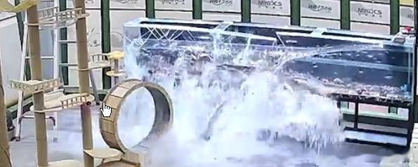 鱼缸到临界点“哐”爆裂损失30多万水族箱的质量参差不齐，使用不当会导致水族箱爆裂