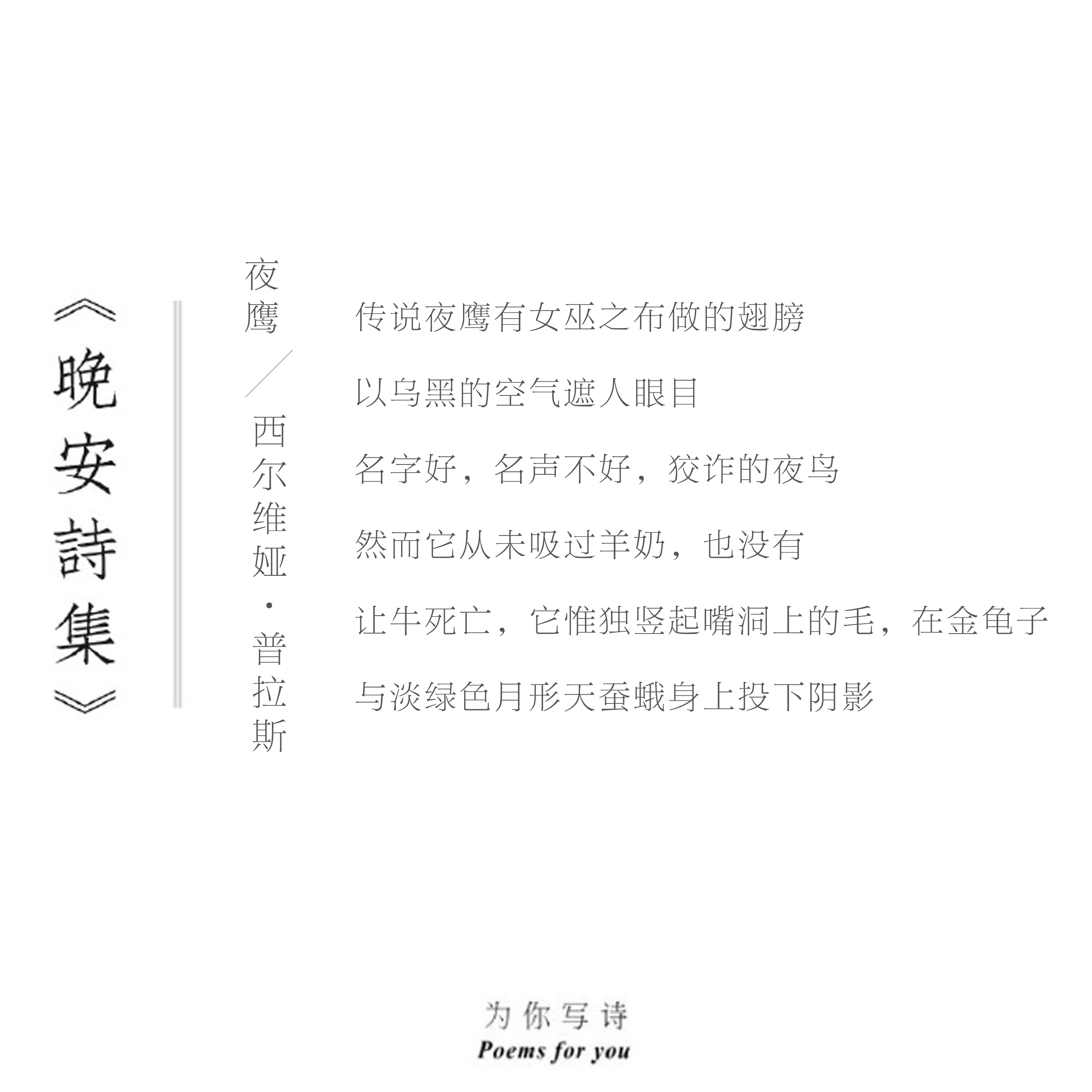 传说夜鹰有女巫之布做的翅膀以乌黑的空气遮人眼目今夜的诗来自西尔维娅·普拉斯，晚安