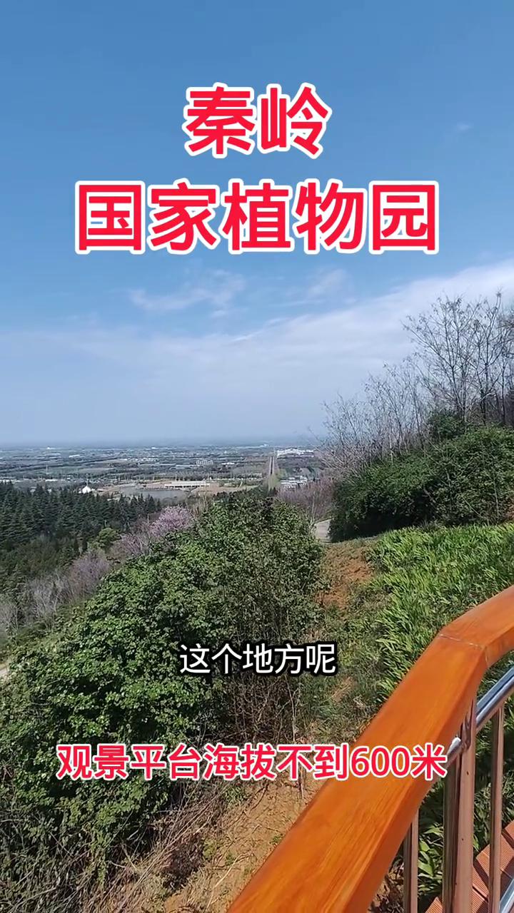 秦岭国家植物园。
这个地方是在秦岭国家植物园，我现在是在半山腰上，看到了吧？这边