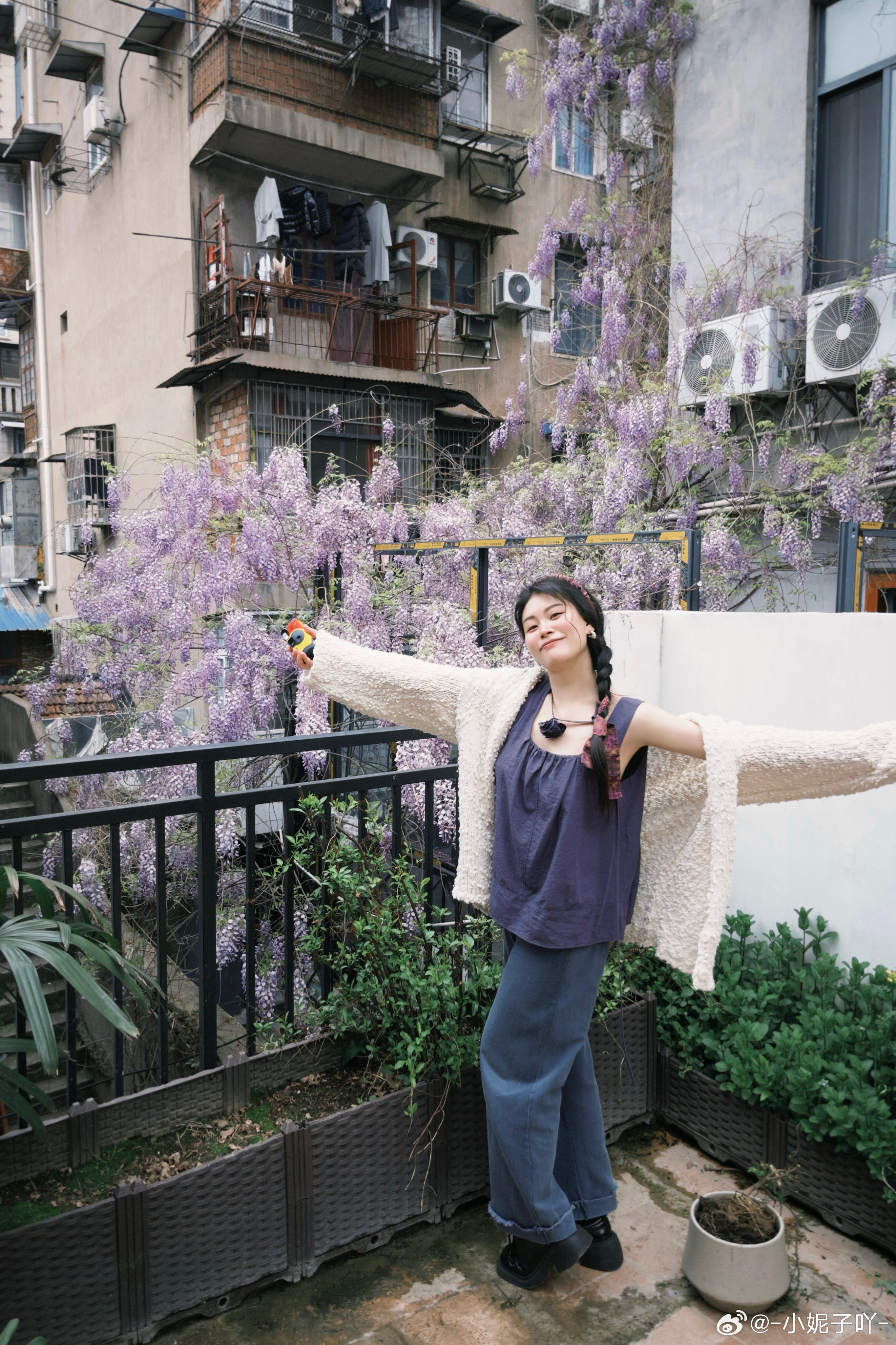 紫藤垂瀑🪻我是我的春天💜plog