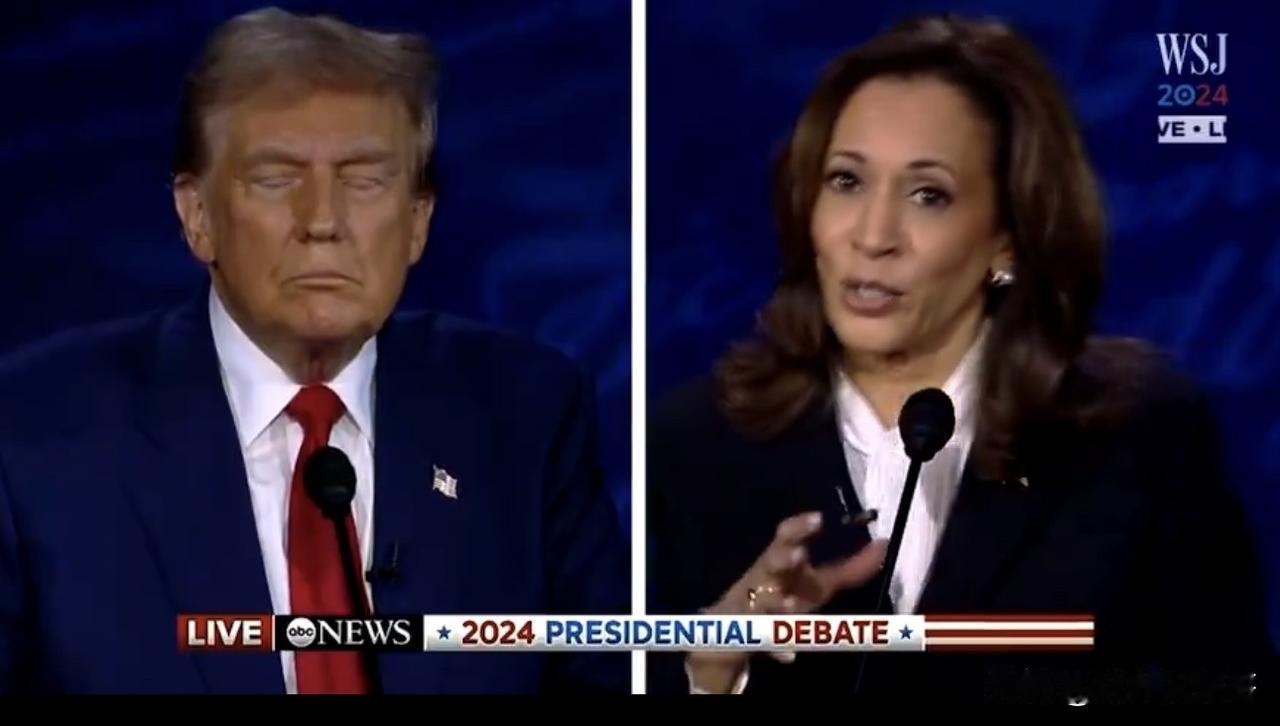 哈里斯被国会监控挖出她的谎言


      在竞选期间，哈里斯曾控诉特朗普鼓动