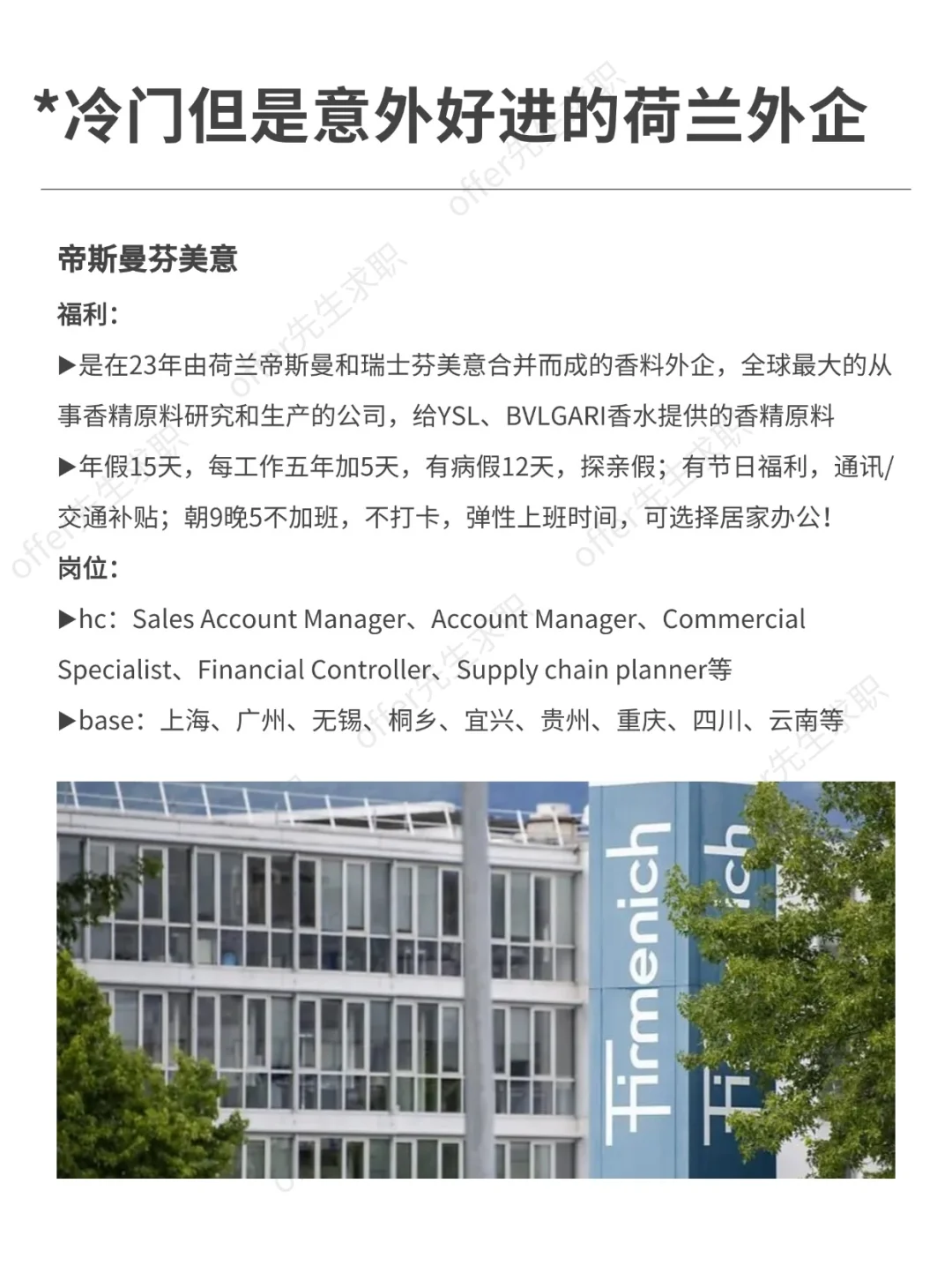 冷门但是意外好进的荷兰外企