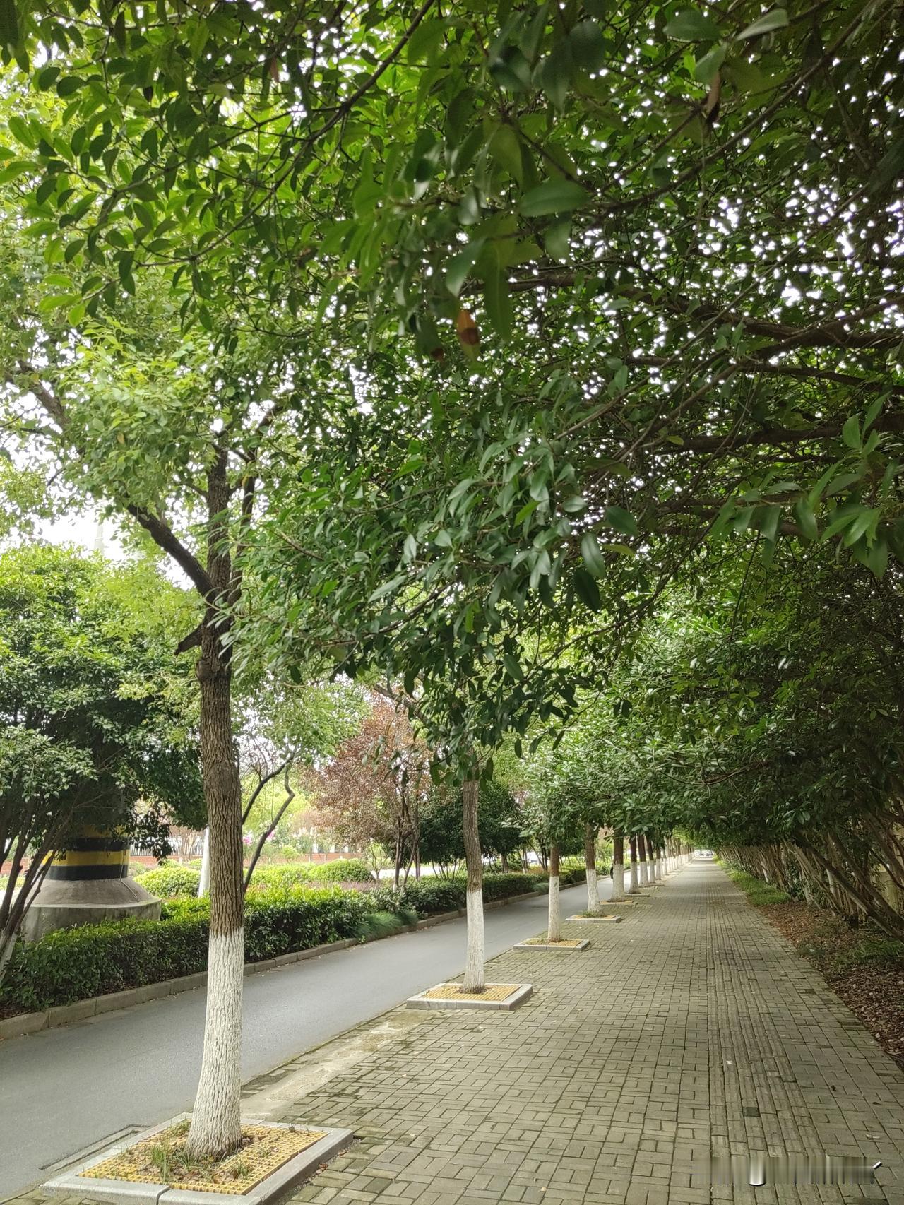 我老伴儿自从读了老年大学就变了，不是正儿八经找我谈话，就是看我哪儿都不顺眼。
提