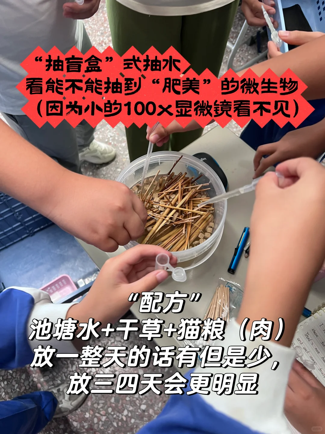 科学史故事终于讲到列文虎克登场了