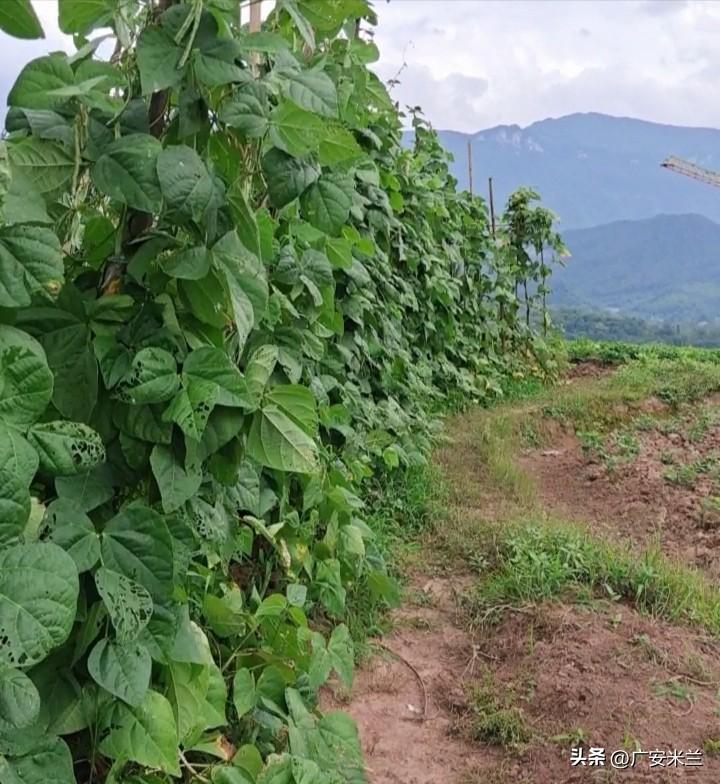 发现没有，像我们出生农村的60后，70后，一个村能混出头的，其实也就那么几个。