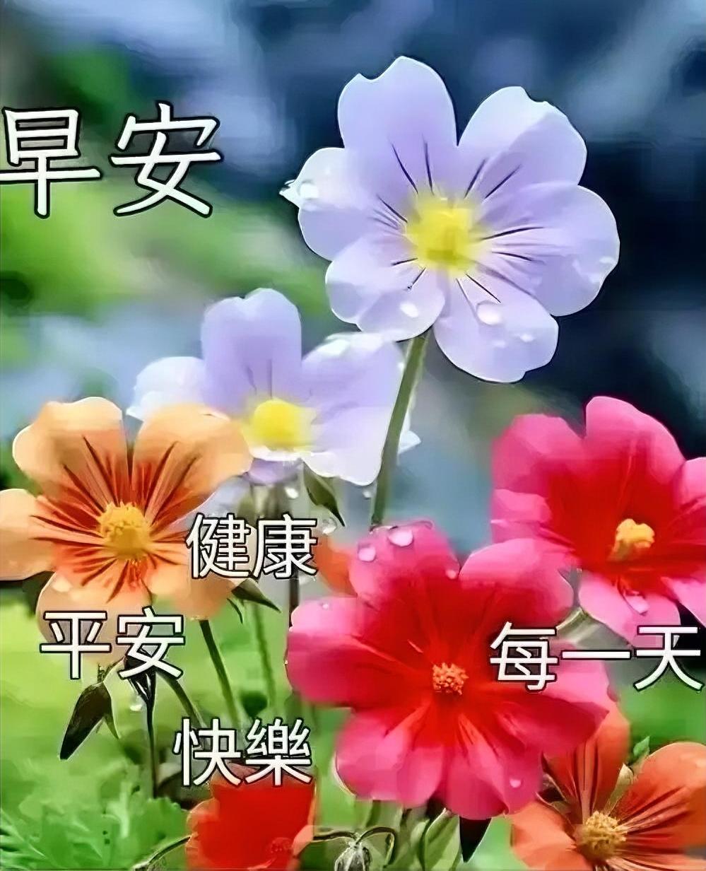 迎着晨光，拥抱这份温柔的美好，愿你三餐都能感受温暖，四季都能无忧顺遂，早安呀。