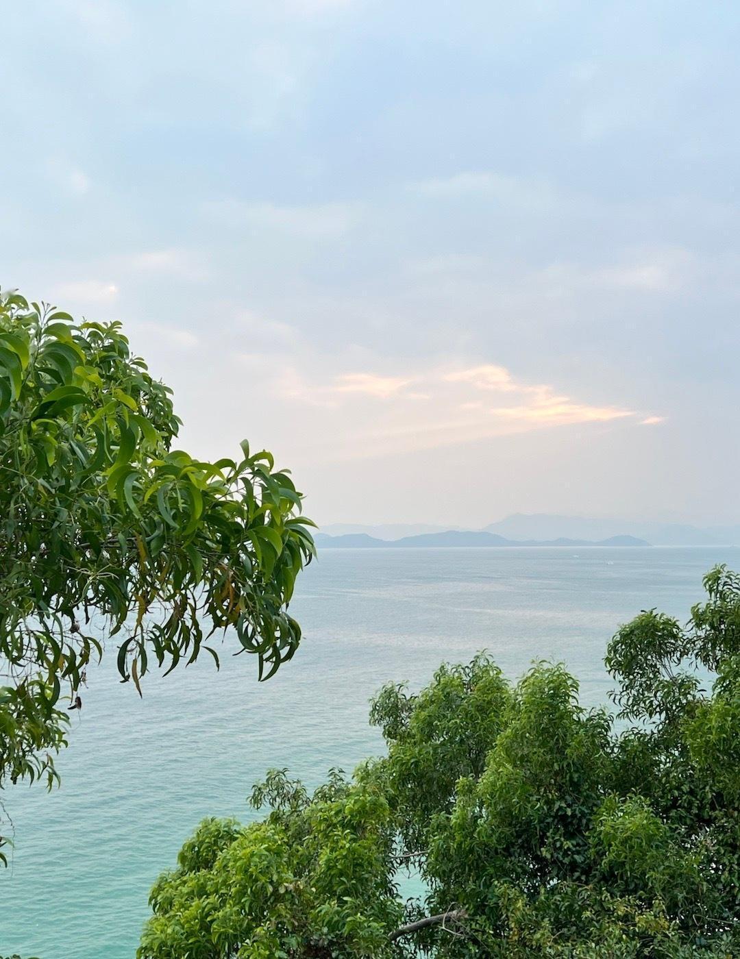 背仔角海滨徒步，打卡溪涌地铁站，3分钟坐回小梅沙东部不塞车啦
你好2026 元旦