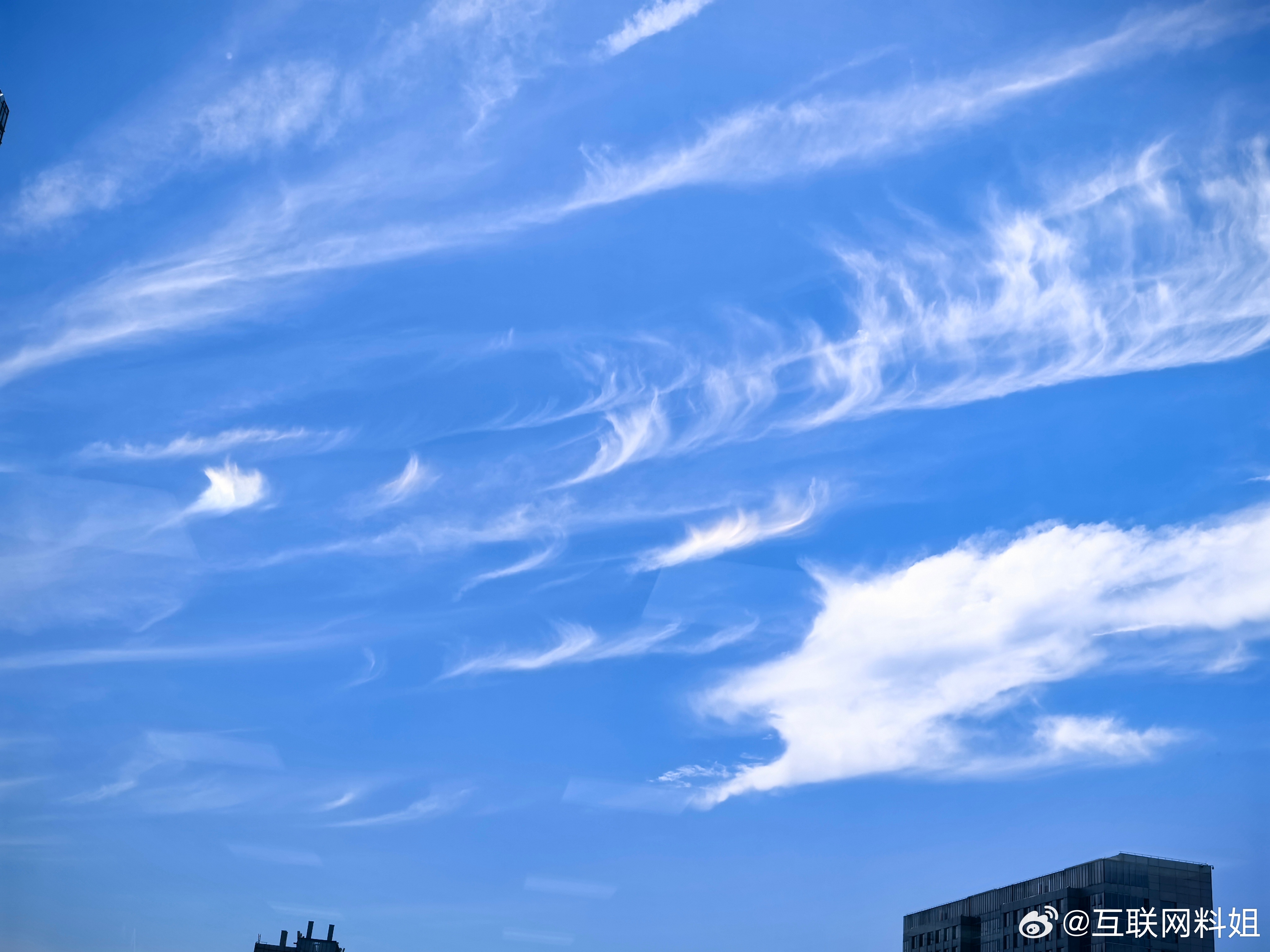 台风来临前杭州晴空万里确实万里晴空，甚至看到七彩祥云了，可惜拍不出来 