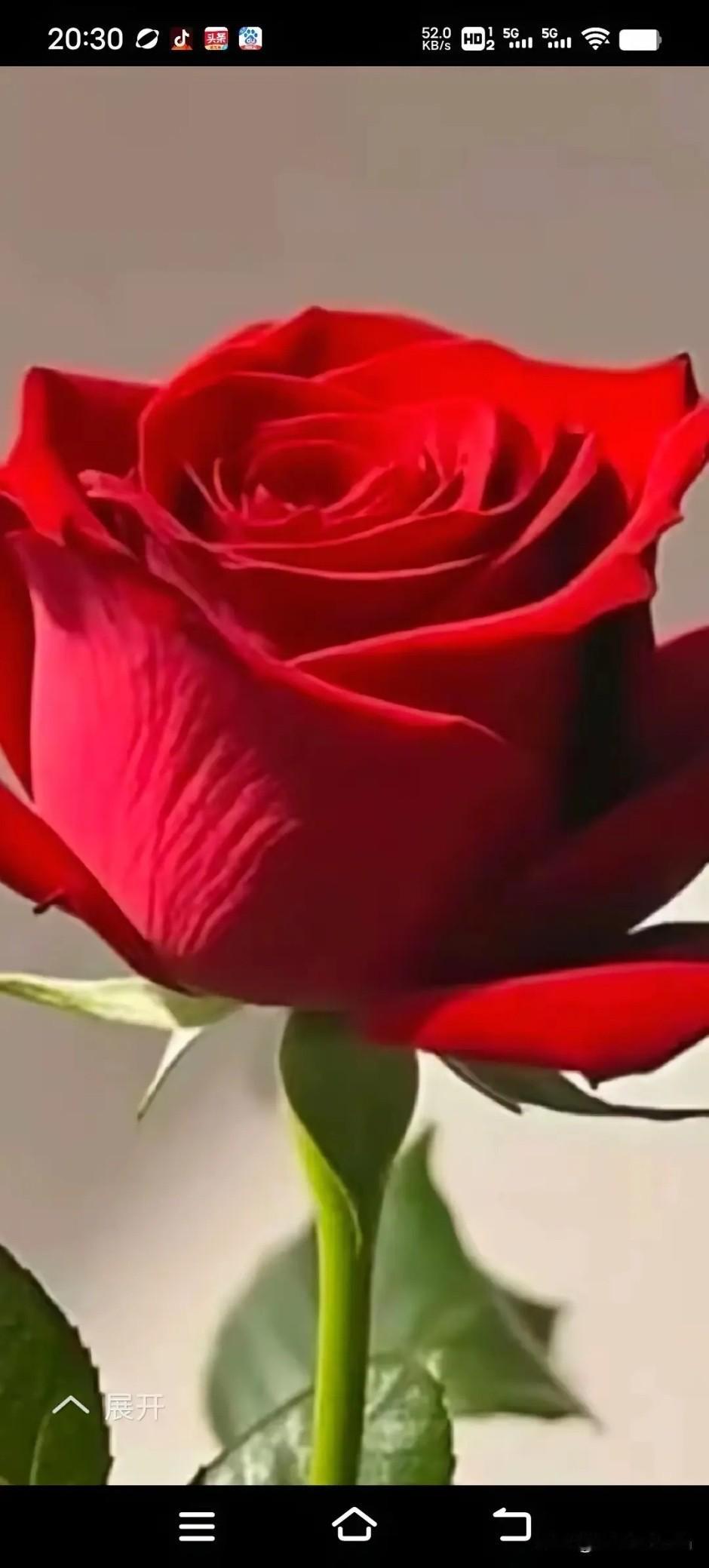 早安你好
致我最爱的人

每日祝福早安 早晨温暖的问候