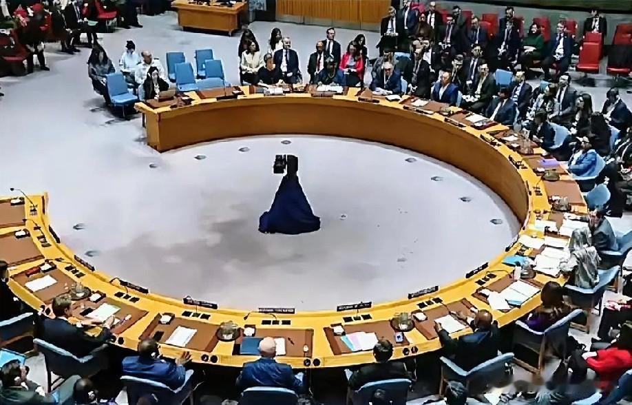 1月12日下午的最新消息，速报，全都不容错过，第三条：乌方紧急请求安理会召开紧急