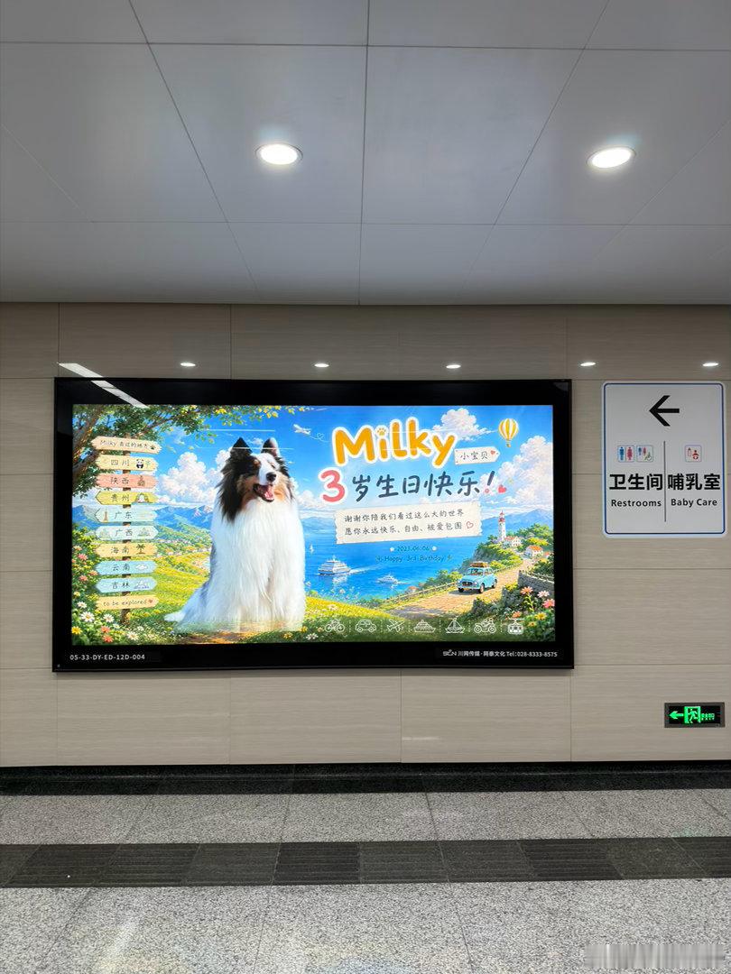 汪星人过生日，地铁里还给买了一个大广告位，这排面！这只边牧也是幸福，去了那么多地