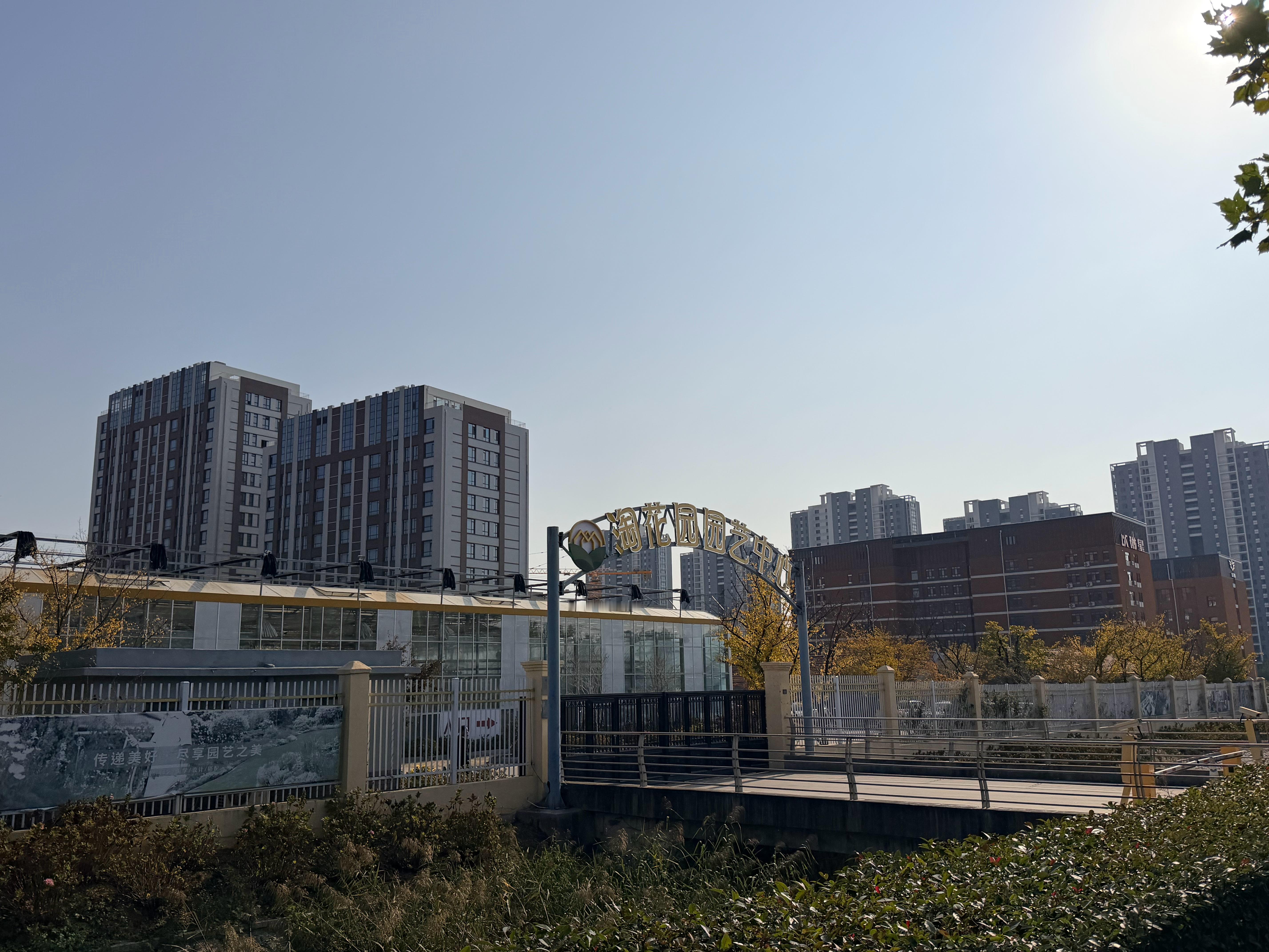 来给我不可磨灭的野心精挑细选一盆高端大气上档次的绿植😎 