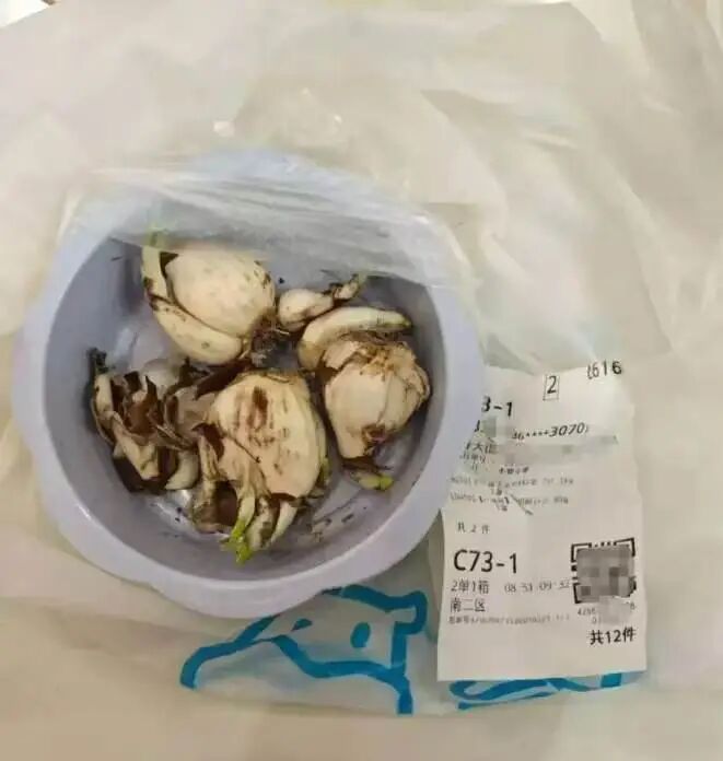 误将水仙当食用百合配送致家属中毒，盒马：顾客误食也有责任