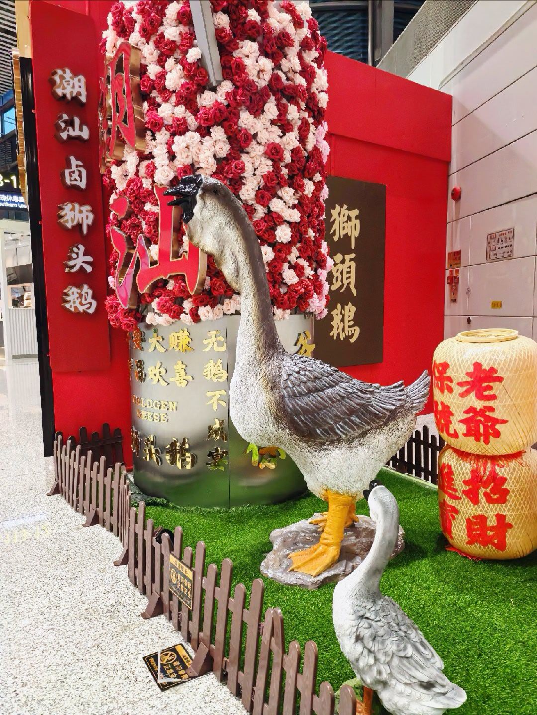 生活点滴广东狮头鹅，原产潮汕，是我国国家级畜禽遗传资源，也是国内体型最大的肉用鹅
