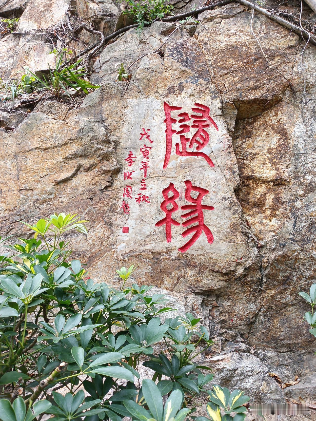 医生救死扶伤，谁来救医生？江西抚州韩医生因嵌顿疝漏疹，法院认定严重不负责任构成医