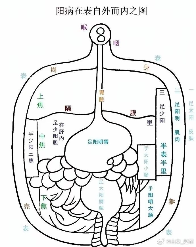 小米红枣养脾胃粥方（儿童专用）小米红枣山药粥，健脾养胃长得好。小米红枣板栗粥，补