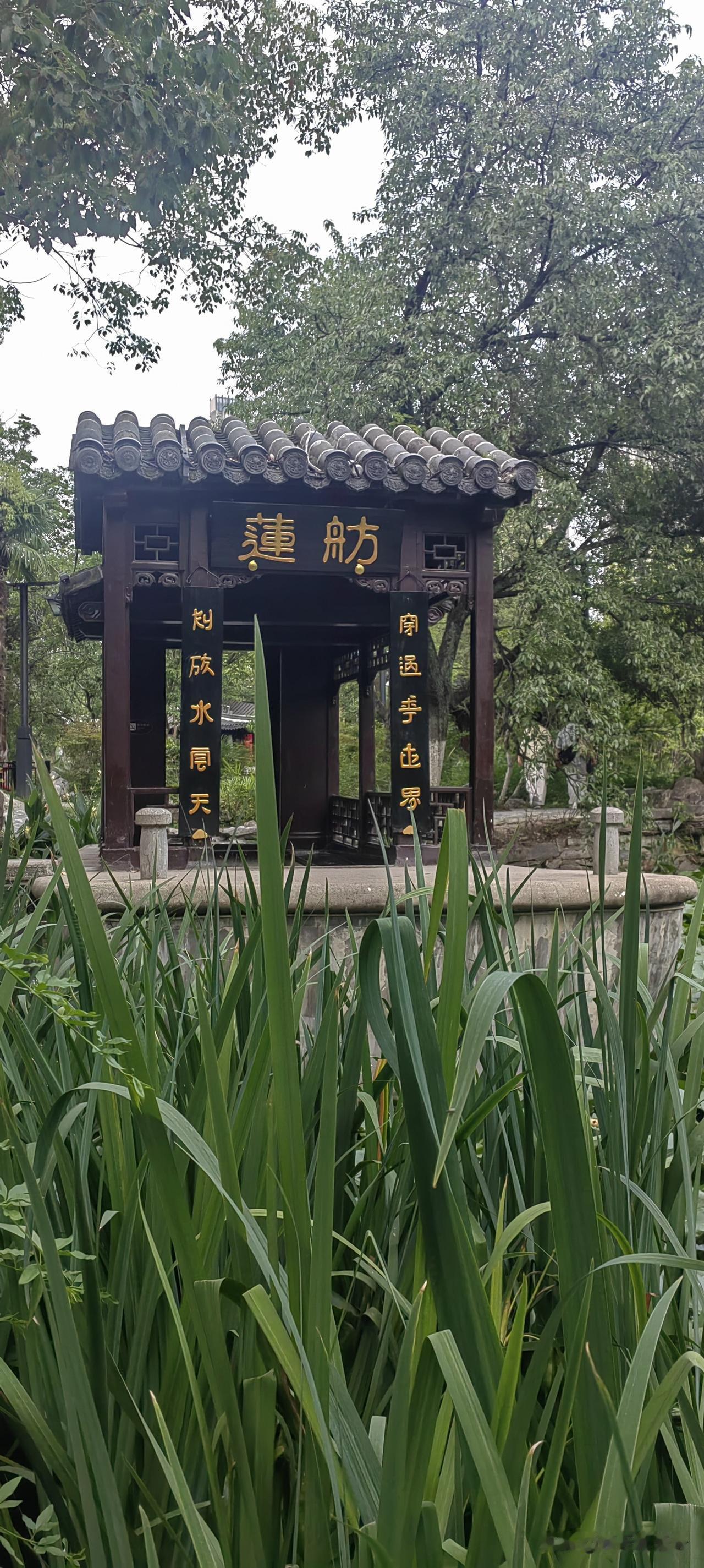 《品茶悟世》
 
沸水冲开一叶芽，
浮沉起落自堪嗟。
人生恰似杯中茗，
淡去浮华