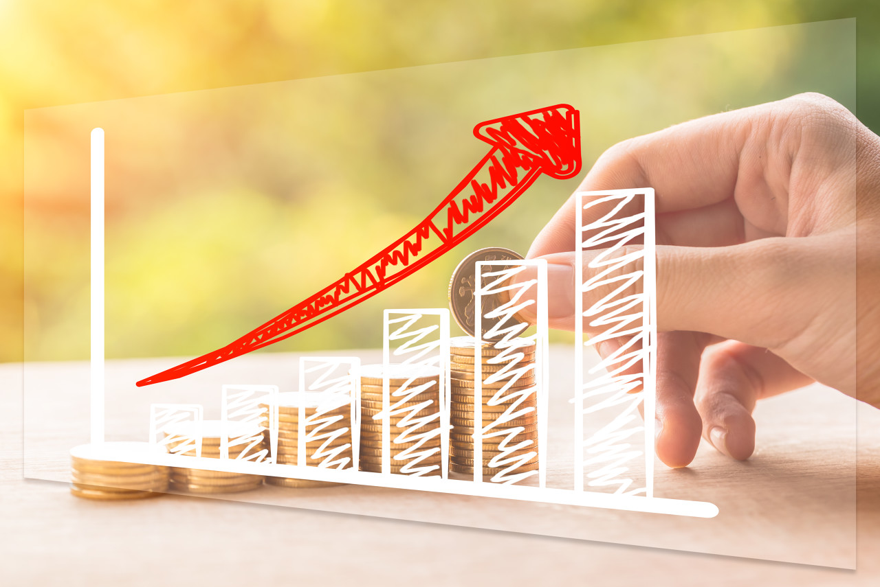 拆解安琪酵母三季报：海外营收增长、国内增速放缓，第三季度扣非净利润下滑8%