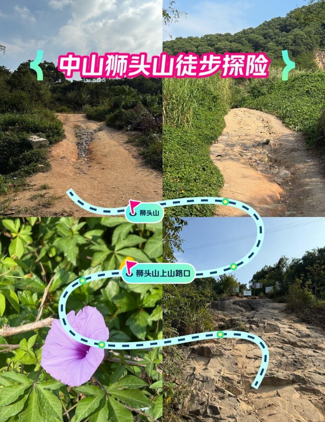 又又又🔍出行游玩好地点——狮头山
📍武汉 
📍广东药科💊大学🏫中山校区