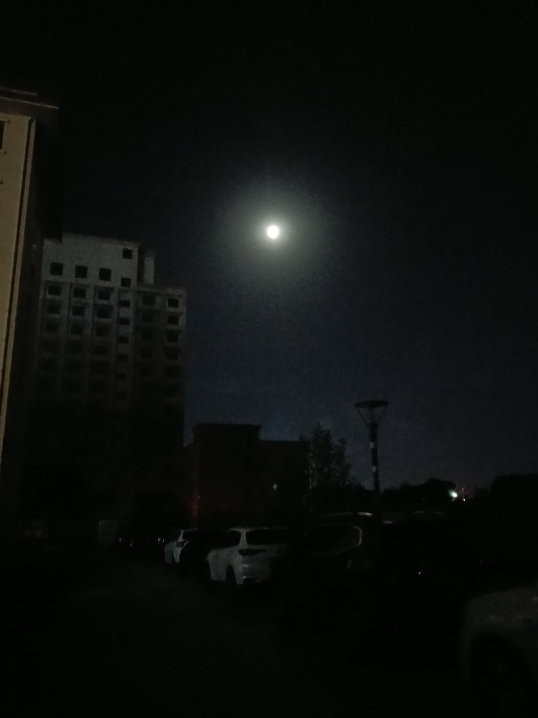 十五的月亮 十二就圆了 ​​​