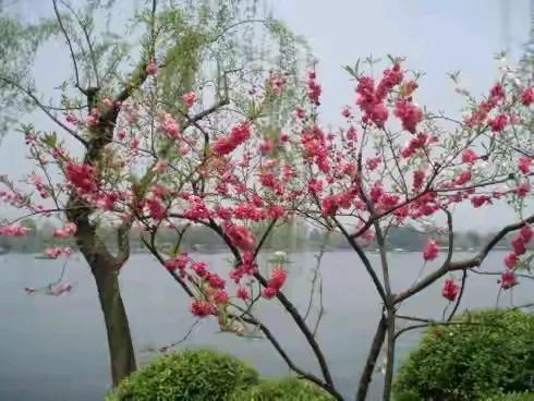 中老年外出旅游建议首选三线城市，理由如下：
一，时间充裕。大家有时间，可以坐火车