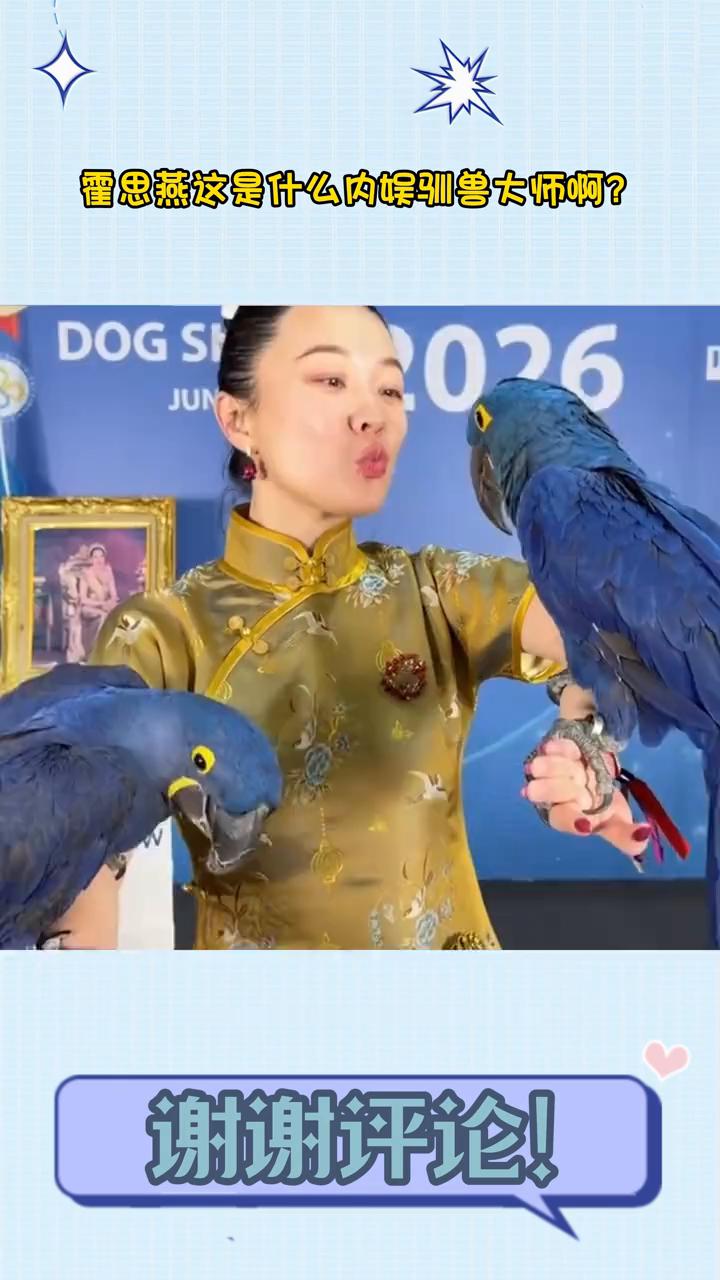 笑死，霍思燕这是什么内娱驯兽大师？继上次她养的狗夺得国际比赛的冠军之后，据说养的