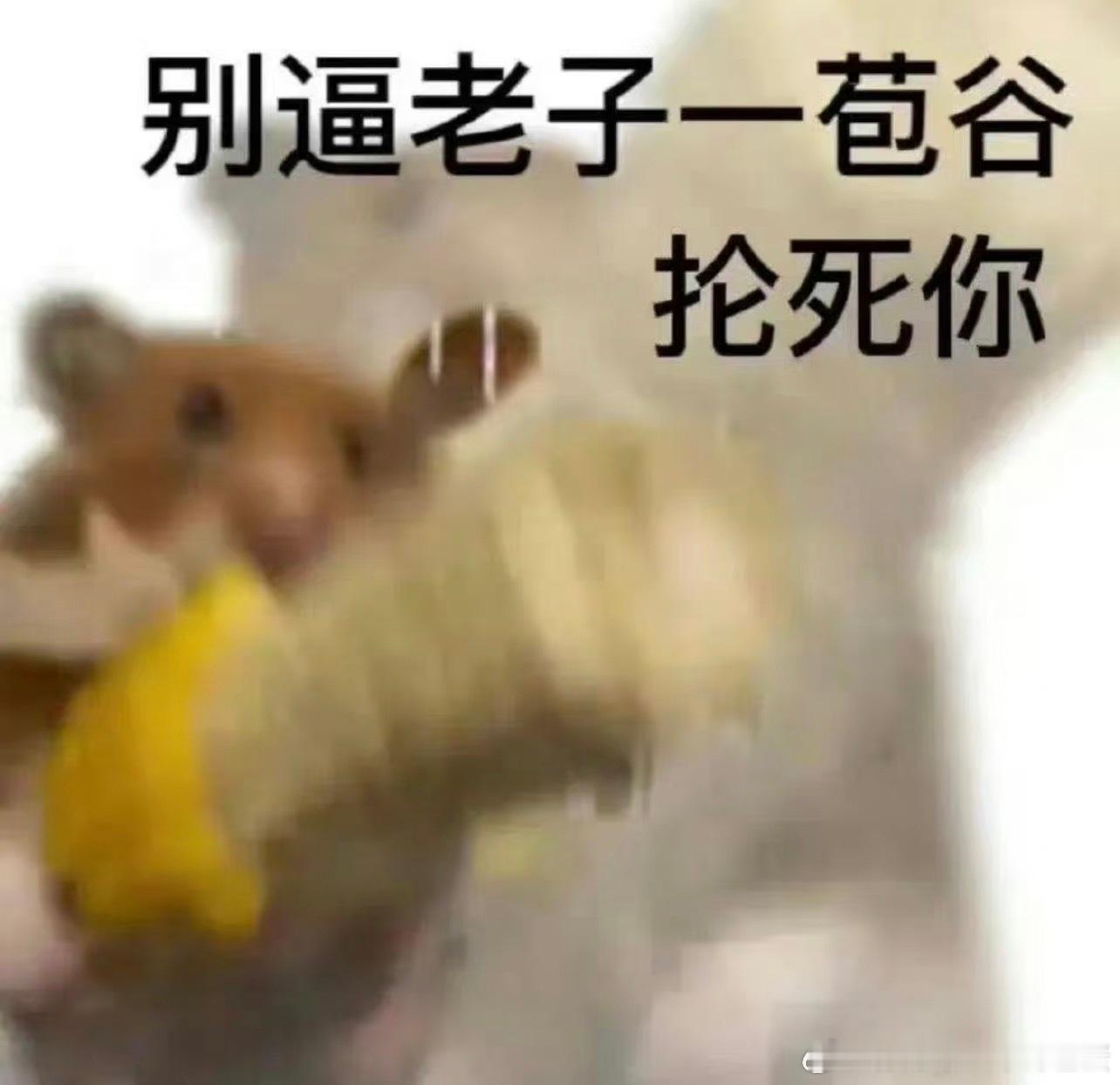 致ndz和xjs：