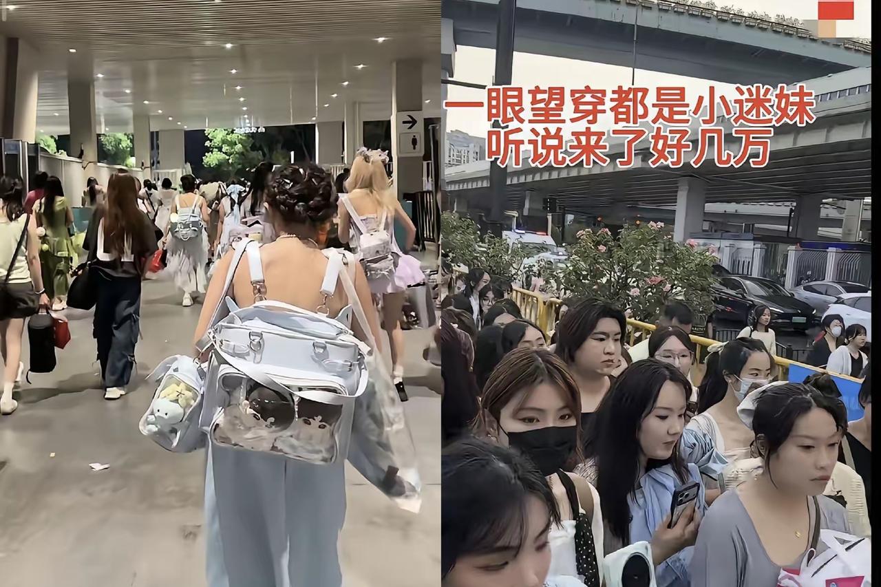 暑假期间粉丝见面会、演唱会，一眼望去全是小仙女。看她们追星时的装备，个个都不是缺