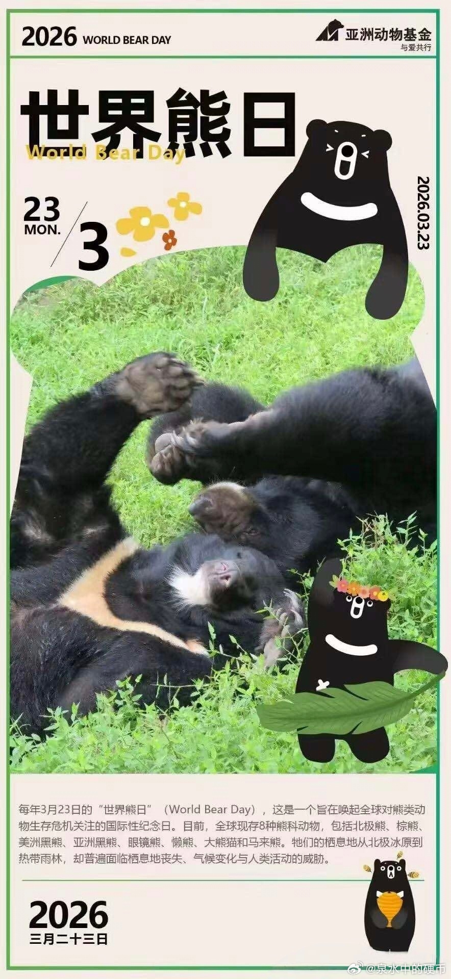 今天是世界熊日，这只熊多少有点无辜
