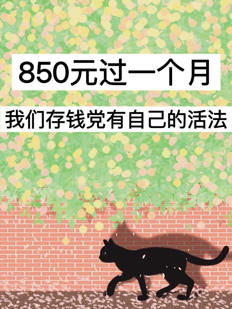 850元过一个月我们存钱党有自己的活法