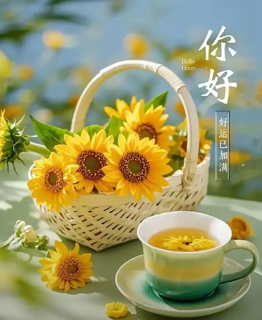 冬日暖阳下，一杯暖茶与向日葵相伴，好运满满。🌻🍵