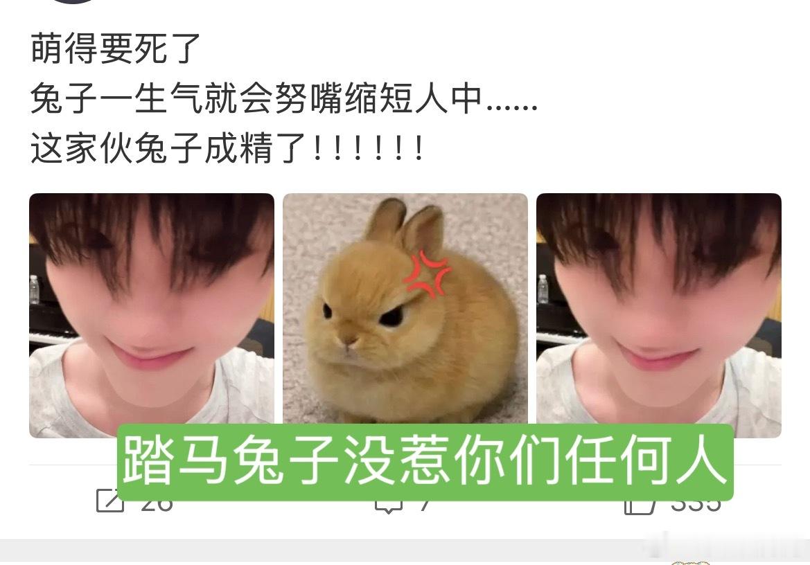 大晚上一个人上网好无助 