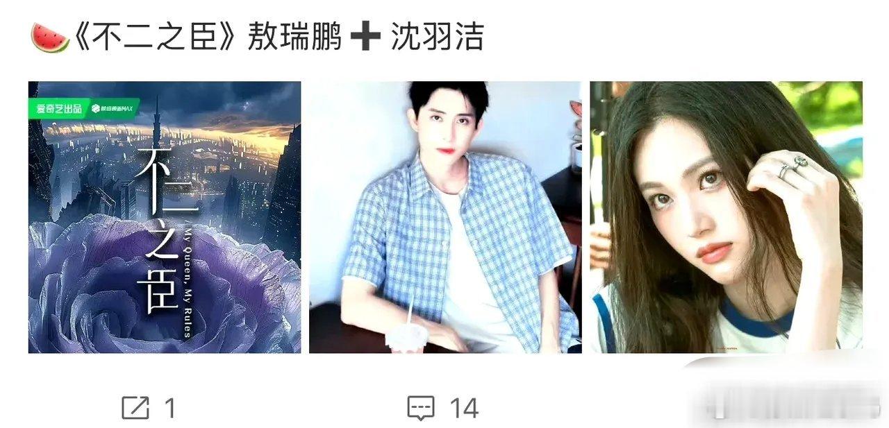 《不二之臣》把李兰迪换了？敖瑞鹏和李兰迪的二搭就这么被闹黄了么？说平台将女主换成