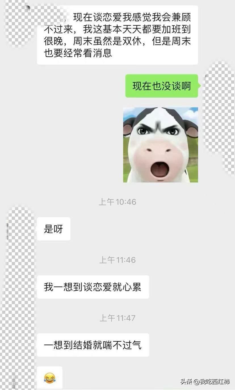 相亲对象，是不是没看上我
姨夫姐姐的儿子，本在是在外婆家拜年，当晚姨夫说这个小孩