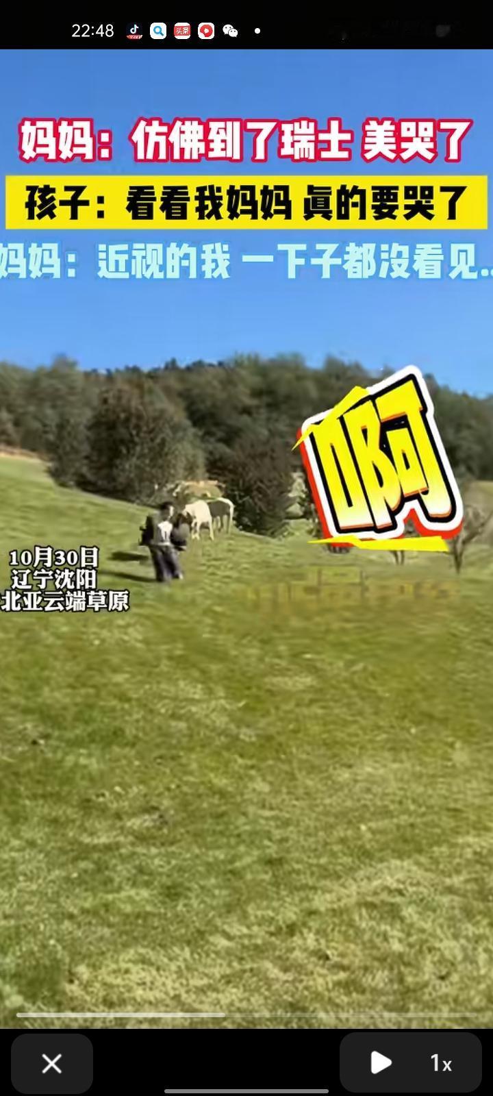 10月30日，辽宁沈阳。女子发视频称，来到草原仿佛到了瑞士，直呼太治愈了，有种想