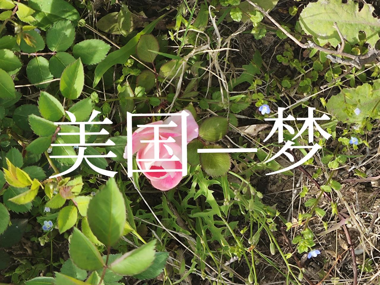 美酱：搞没搞错
美国，搞没搞错？到现在还在威胁中国？
中国不理你，希望的是和平稳