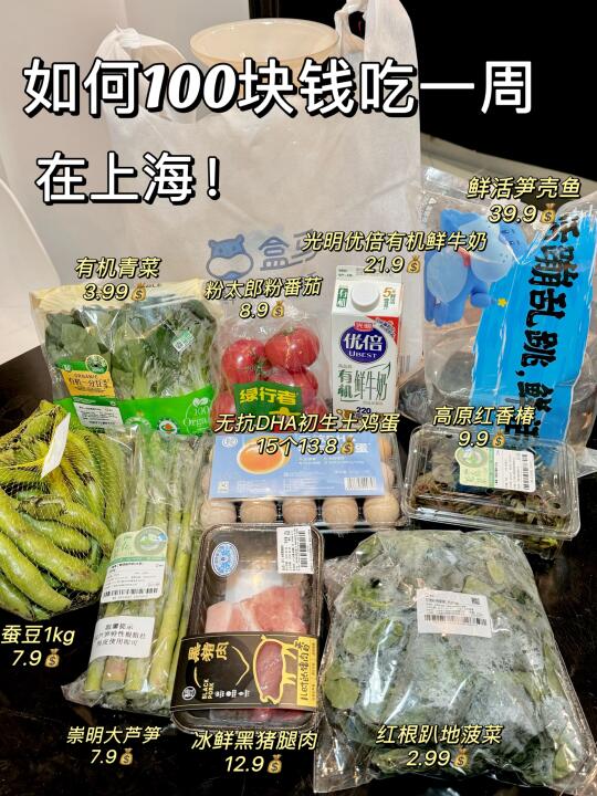 100块吃一周❓上海人这两极分化的沪币❗️